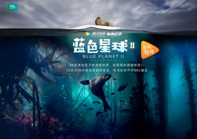 老张的春天剧照1