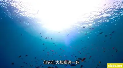 lutube线路检测软件剧照2