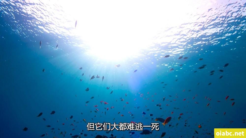 私人玩物七七最新视频剧照3